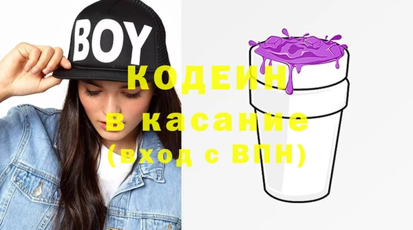 стаф Елабуга