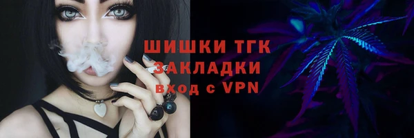 стаф Елабуга