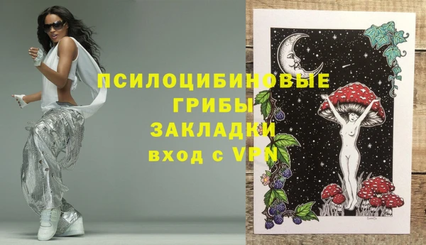 mdpv Ельня