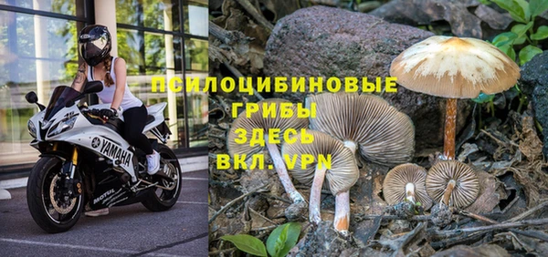 стаф Елабуга