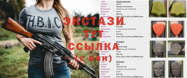 стаф Елабуга