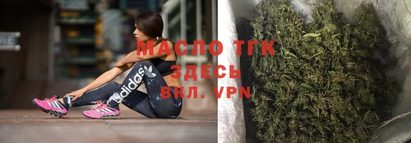стаф Елабуга