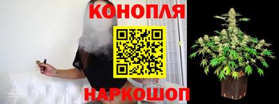прущие грибы Урус-Мартан